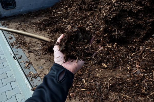 Condo Mulching in Leland