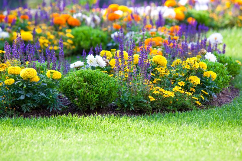 Flower Bed Cleanup Service