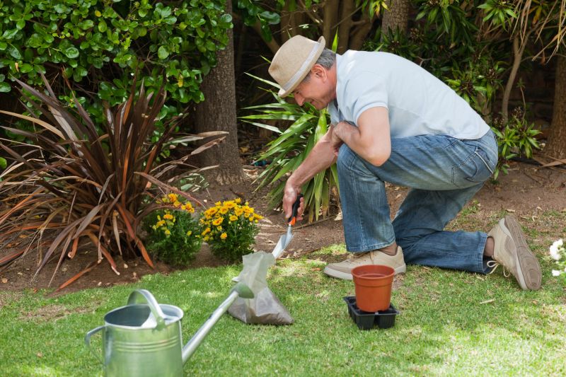 Landscaping Project 1